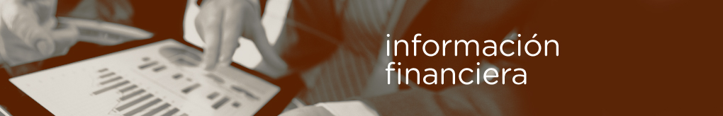 AboutUsFinancialInformationBanner