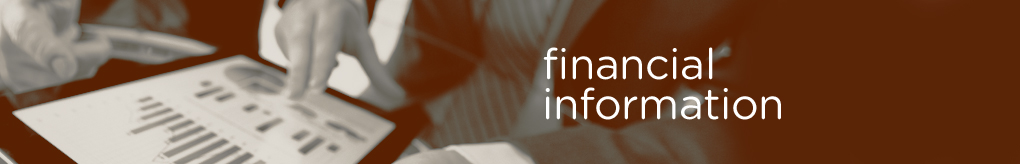 SP_r3_0003_AboutUsFinancialInformationBanner