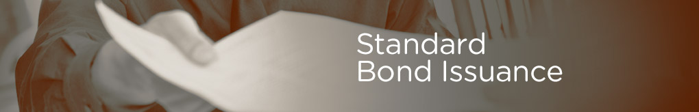 SP_r3_0017_Emision_de_Bonos_Estandarizados_Banner