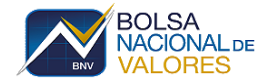 logo bolsa nacional de valores